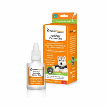 Fantastic Plastic Clock